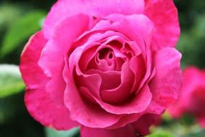 IMG_7213