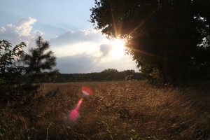 Abendstimmung