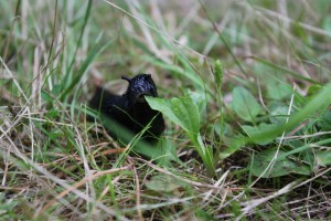 IMG_9634